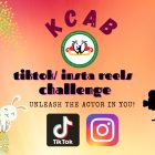 TikTok Insta Reels Challenge Poster